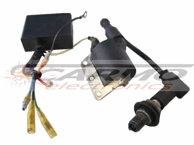 250MX (54631831000,343 S 00150) CDI ECU igniter module black box